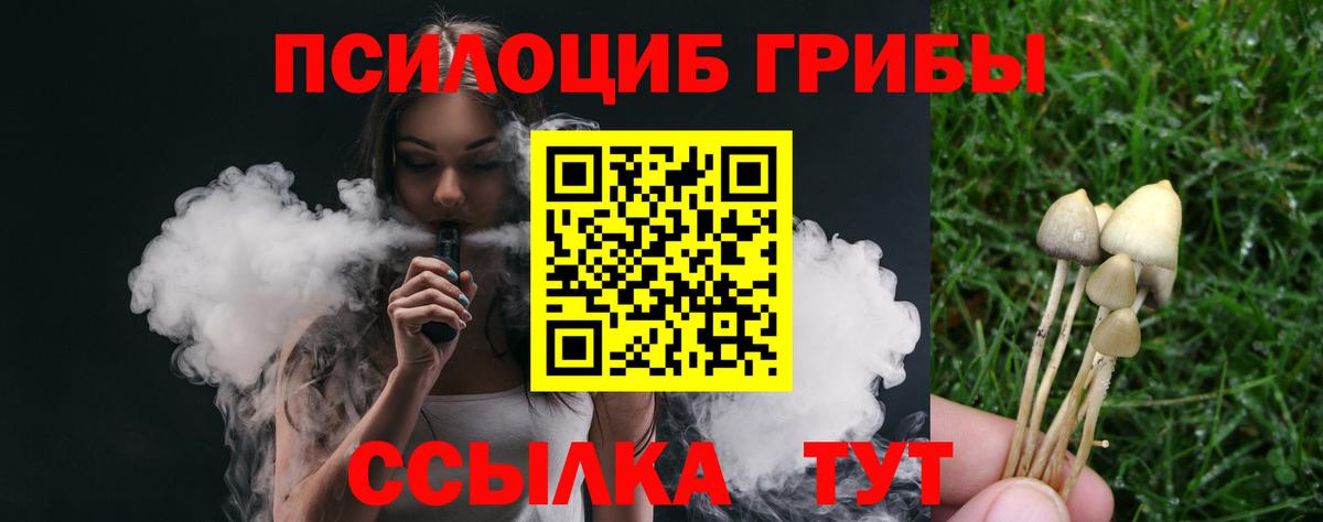 Псилоцибиновые грибы Psilocybe  Вход с VPN  Волжск  Галлюциногенные грибы Psilocybine cubensis 